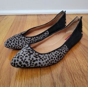 Halogen Women's Calf Hair Pointed Toe Studded Flats, Size 5.5, Grey Black Animal